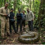 Amazon Rainforest: 7.5-Metre Giant Anaconda Discovered During Will Smith Documentary Shoot Shocks Researchers