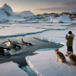 Greenland declares an emergency “this is a warning sign” after orcas breach close to melting ice Update