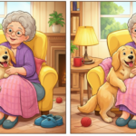 8-Second Challenge: Can You Spot 3 Differences in Grandma and Dog Image