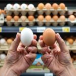 I learned it at 60 : few people know the difference between white eggs and brown eggs