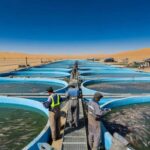 China turns a desert into a giant fish and shrimp farm